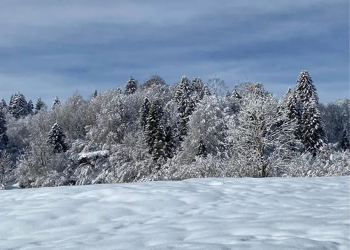 Apartamento Zebio Asiago